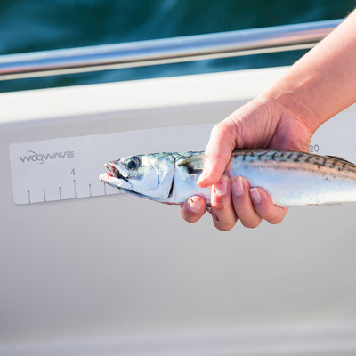Woowave Marine EVA Пеновая лодка рыбная мерка линейка индивидуальный цвет и размер для рыбалки